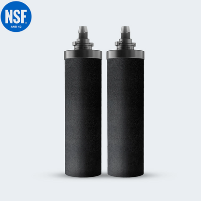 Cartuchos de Filtro de Carbono Phoenix